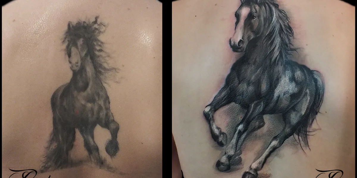 Kůň · cover-up