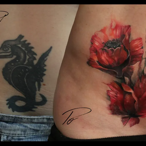Vlčí máky · cover-up · barva